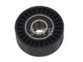 Idler Pulley | SKF-51882514,55224354,VTO-VTO8414