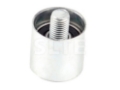 Tensioner Pulley | AUDI-06B109244,GATES-T42019,SEAT-06B109244,SKF-VKM21220,SKODA-06B109244,VAG-06B109244