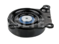 Tensioner Pulley | FORD-1425498,1099922,6C1Q 19A216 BA,YC1E 6A228 AF,YC1E 19A216 AD
