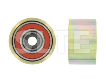 Tensioner Pulley | GENERAL MOTORS-94220900,INA-531073020,ISUZU-8942209002,8942209001,4294325,SKF-VKM89002