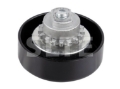 Tensioner Pulley | WULING-24540761